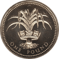 1990 ONE POUND £1 WELSH LEEK BRILLIANT UNCIRCULATED BU - £1 BU - Cambridgeshire Coins