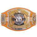 WWE John Cena Farewell 2025 Spinner Championship Title Belt Replica - Knoxville