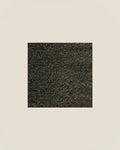 BICHON - CHOCOLATE