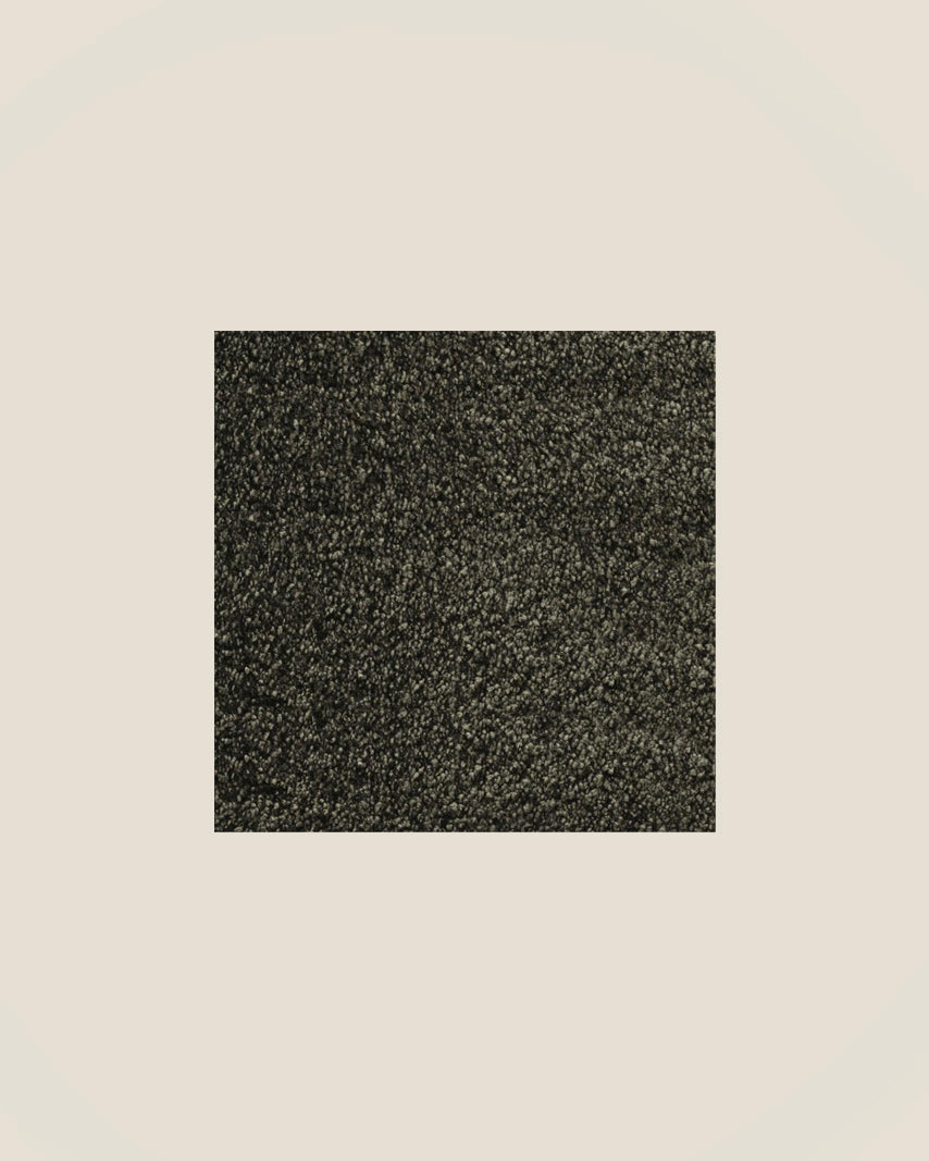 BICHON - CHOCOLATE