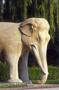 Stone elephant, Sacred Way, Ming Tombs, Beijing, China
