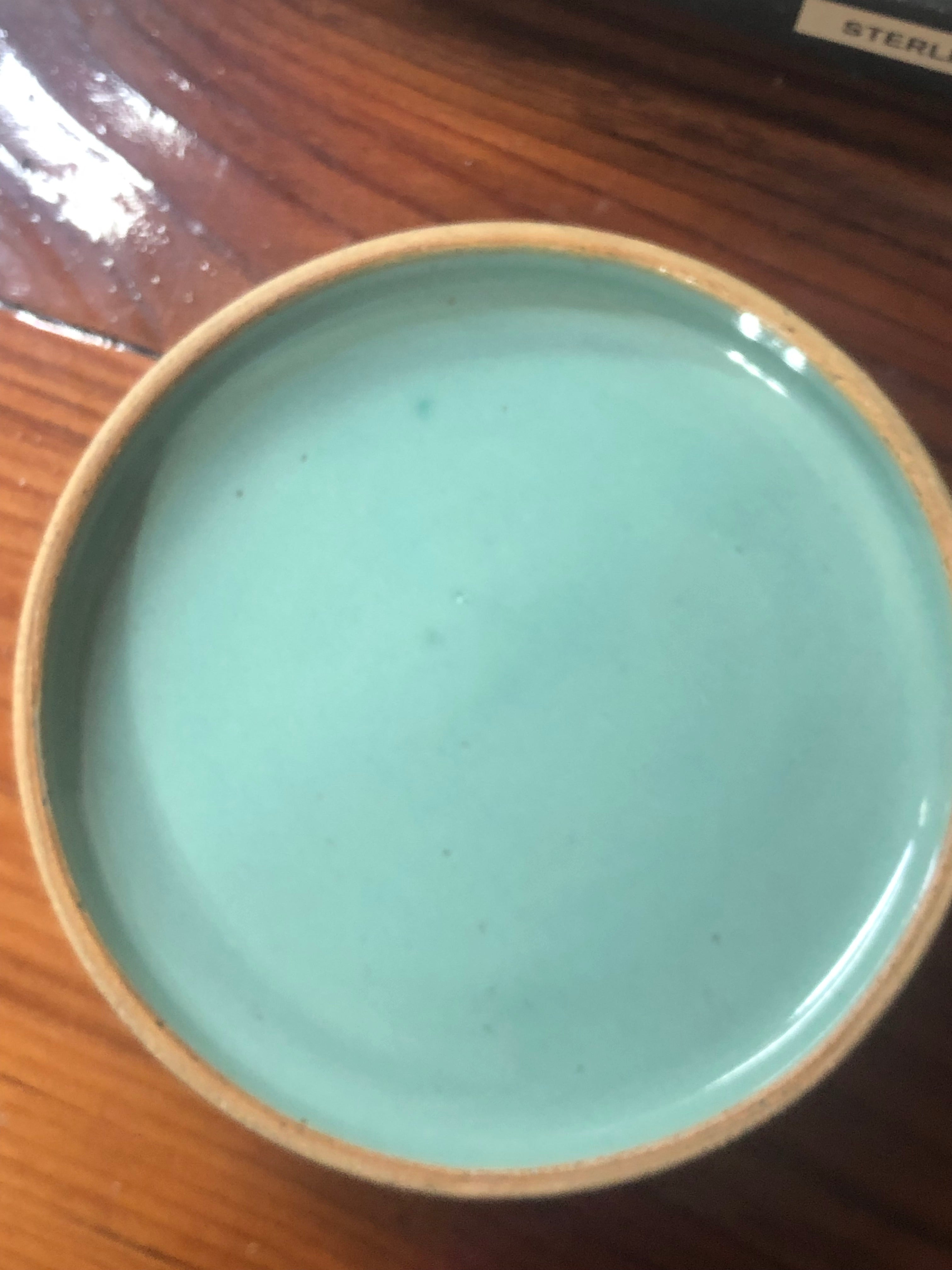Dinner Plate - Green