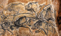 Humans v nature: our long and destructive journey to the age of extinction | Biodiversity