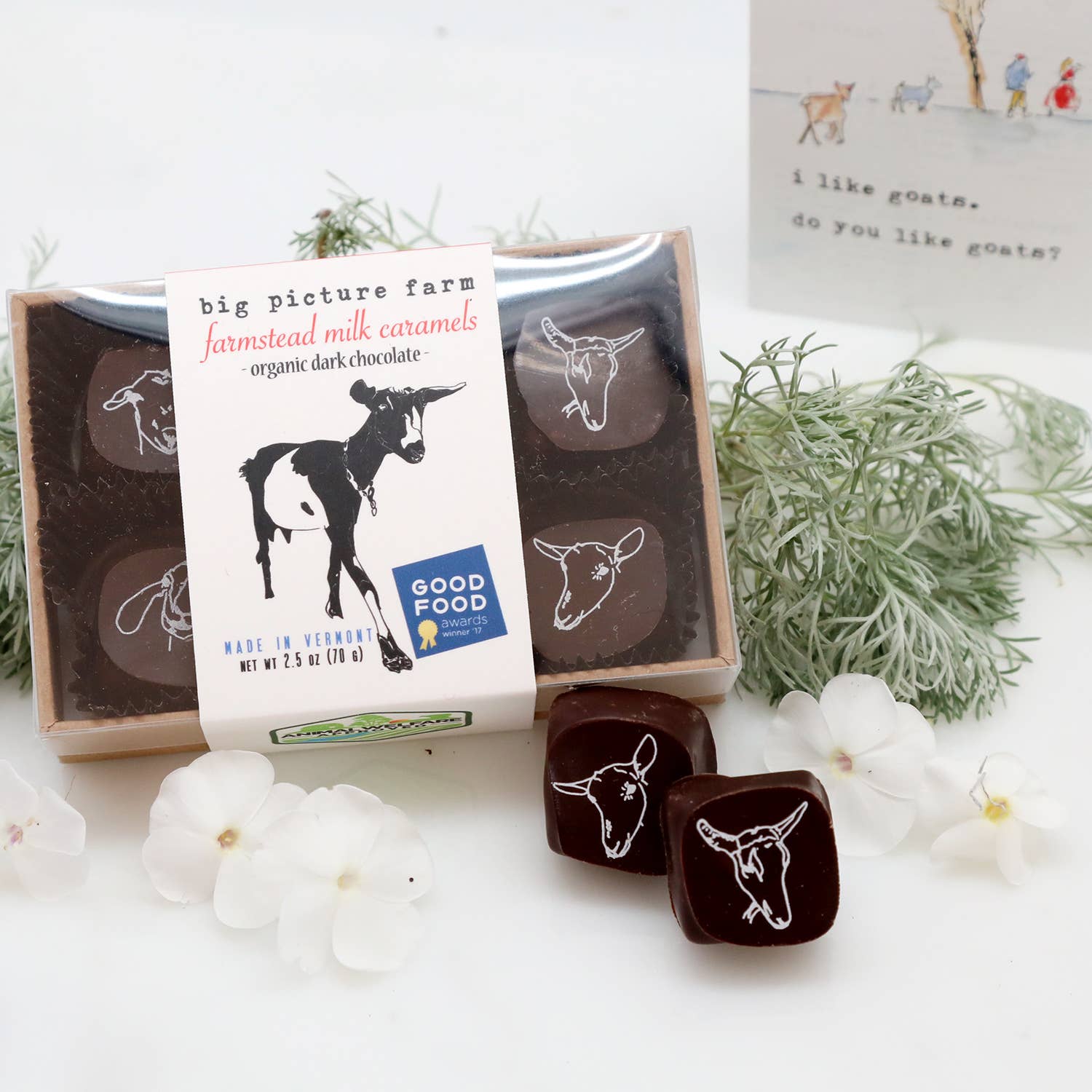 Chocolate-Covered Goat Milk Caramels