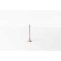 828274 Outlet valve