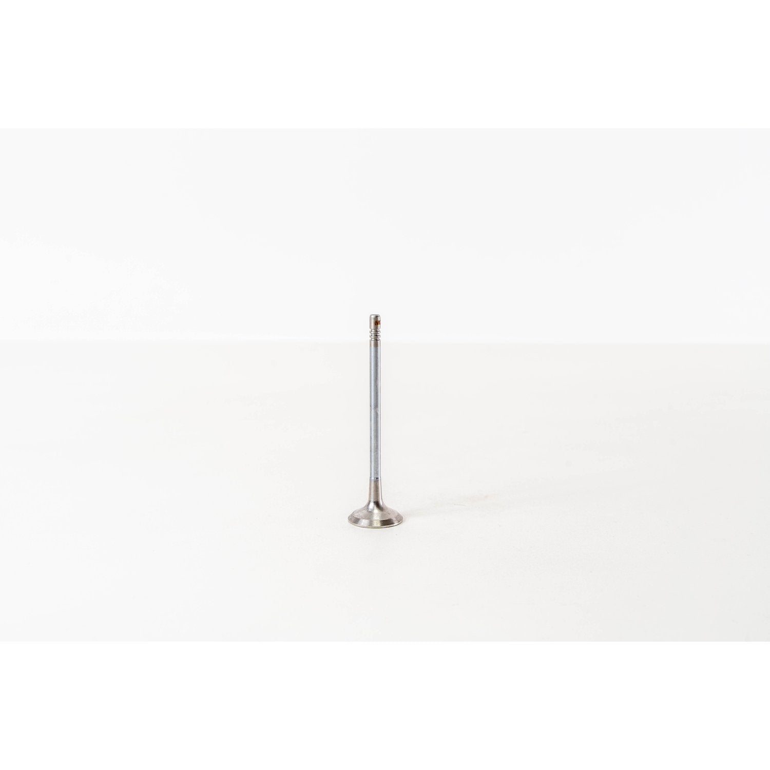 828274 Outlet valve