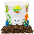 Jade Plant Potting Soil Mix - SSVarJade