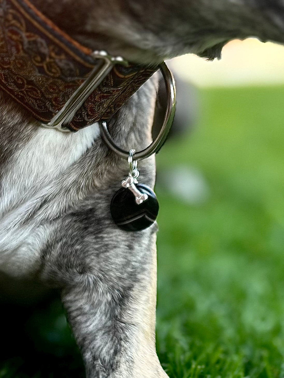 XL Black Onyx dog collar charm | calming stones for dogs | nervousness and reactivity