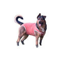 Body Cobre Original Para Perros Y Gatos De 30 Kg A 35 Kg