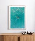 Enchanting Duo ~ Bottlenose Dolphins