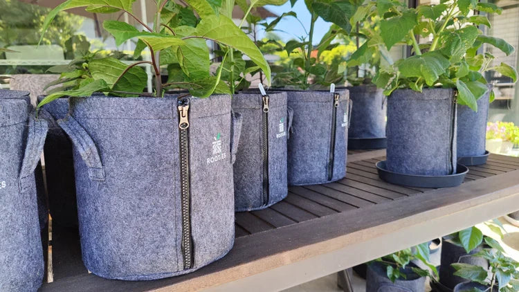 Rooties Fabric Grow Bag with Zipper