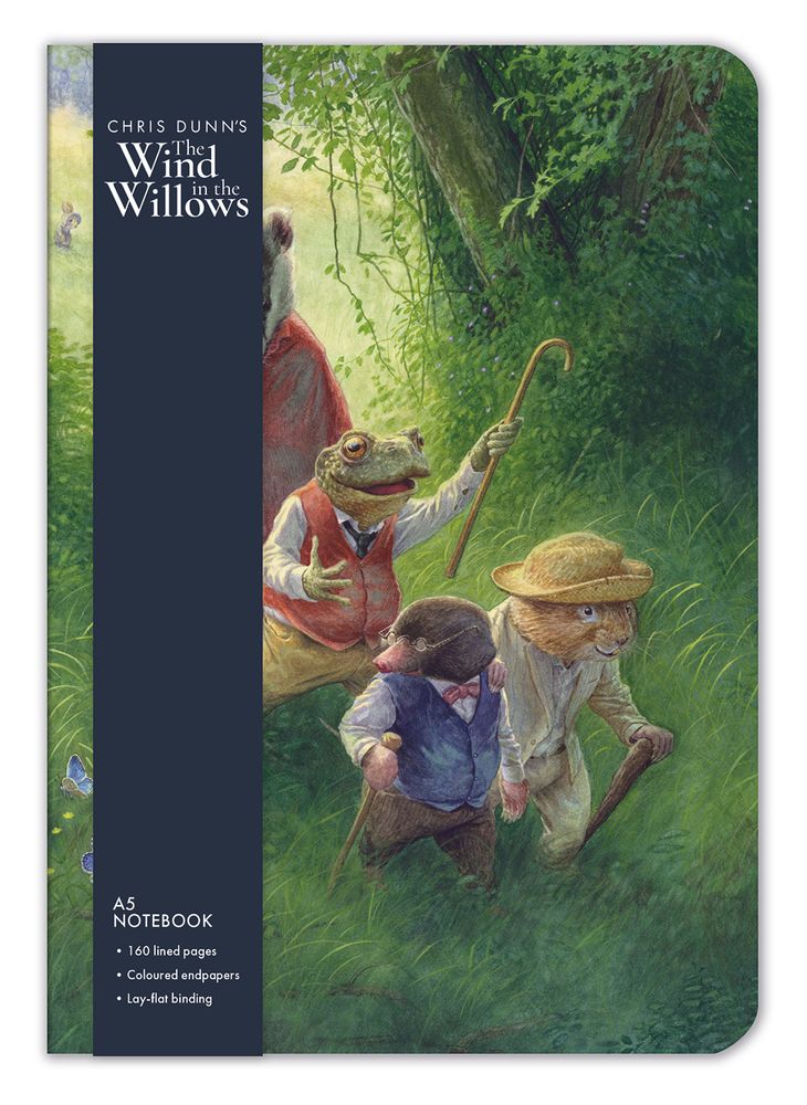 Wind in the Willows Summer Evening Walk A5 Notebook - Bee's Emporium
