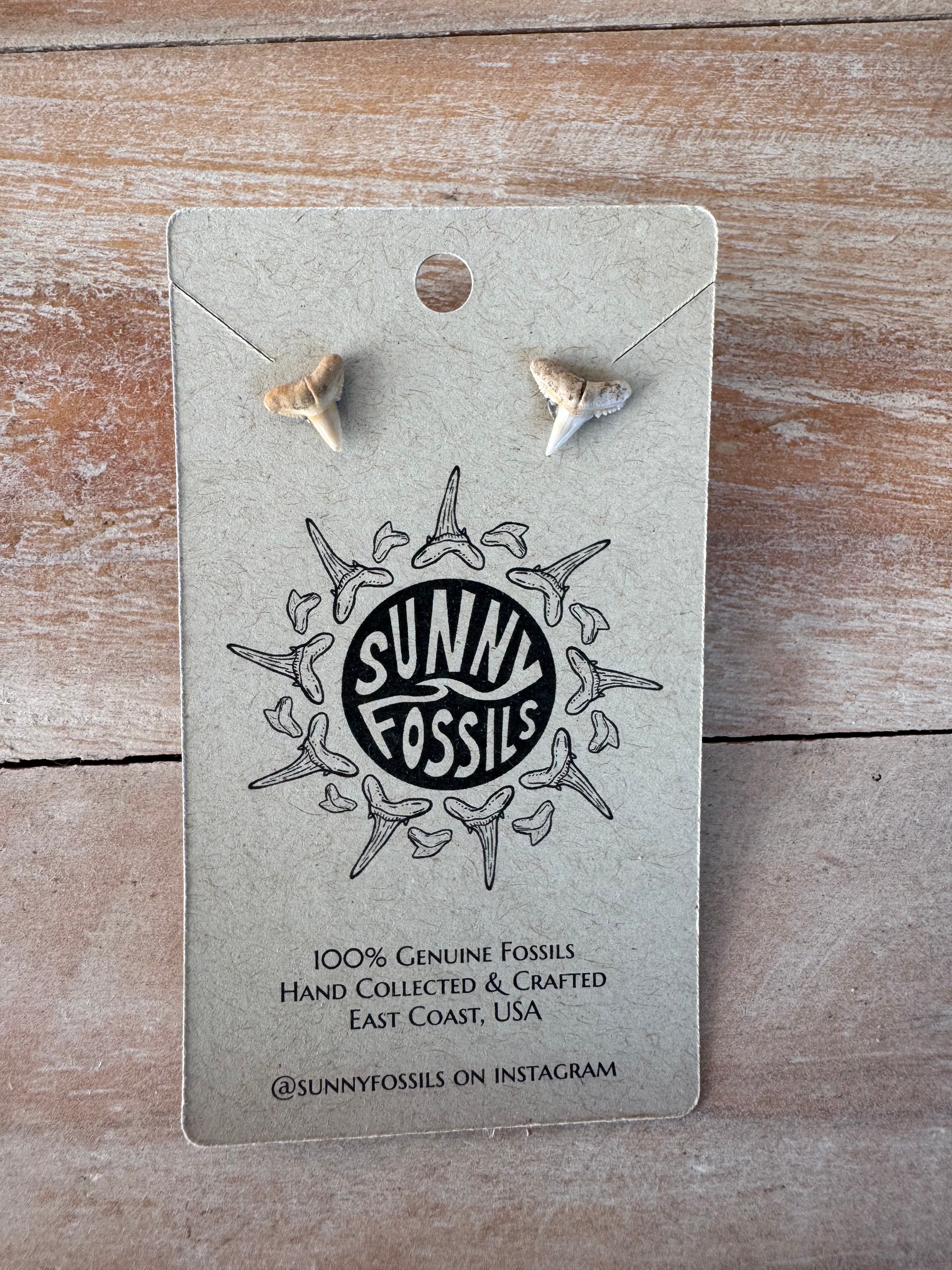 Sunny Fossils