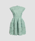 Floral Cutwork Mini Dress