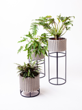 WOVEN PLANTERS