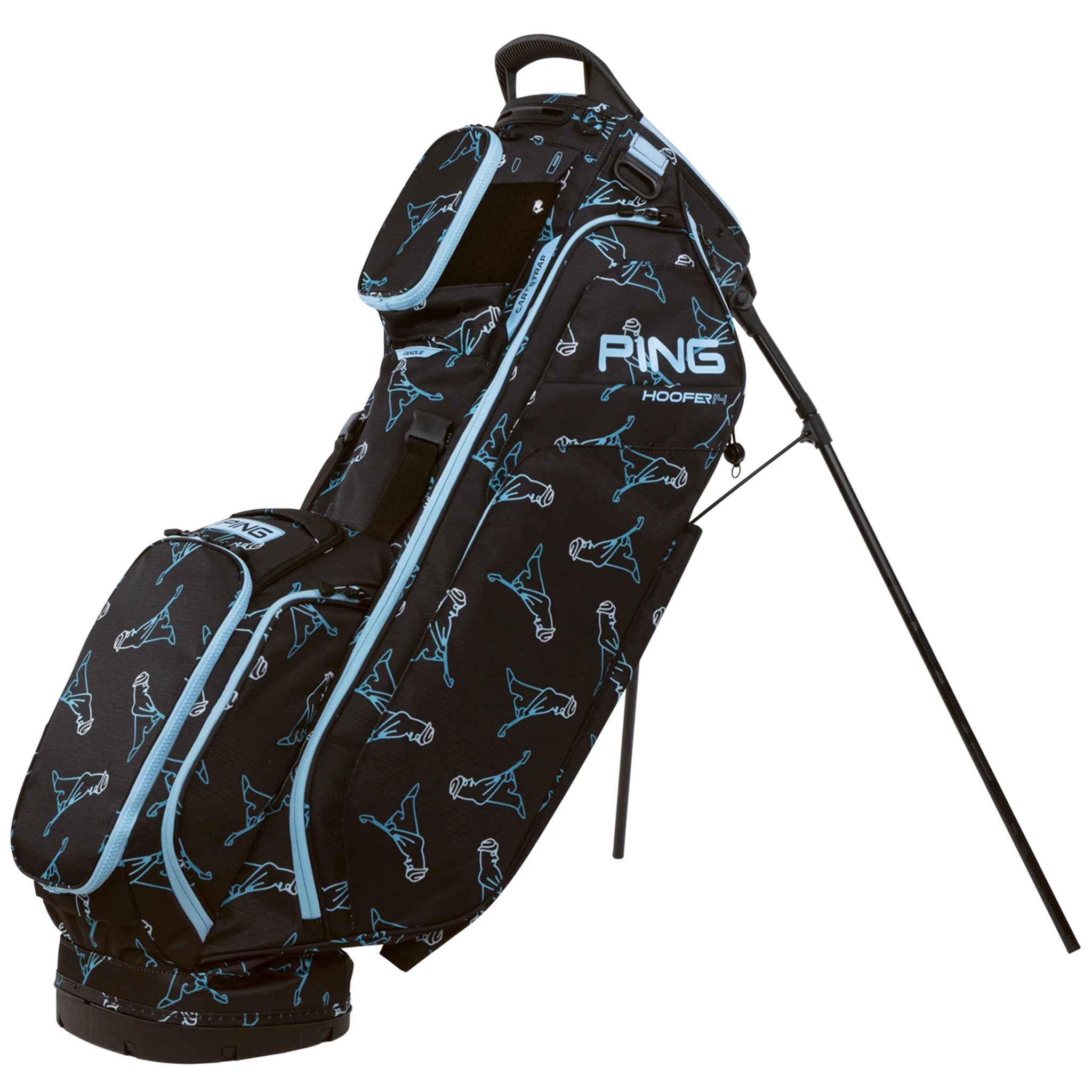 PING 231 26 Hoofer 14 Stand Bag